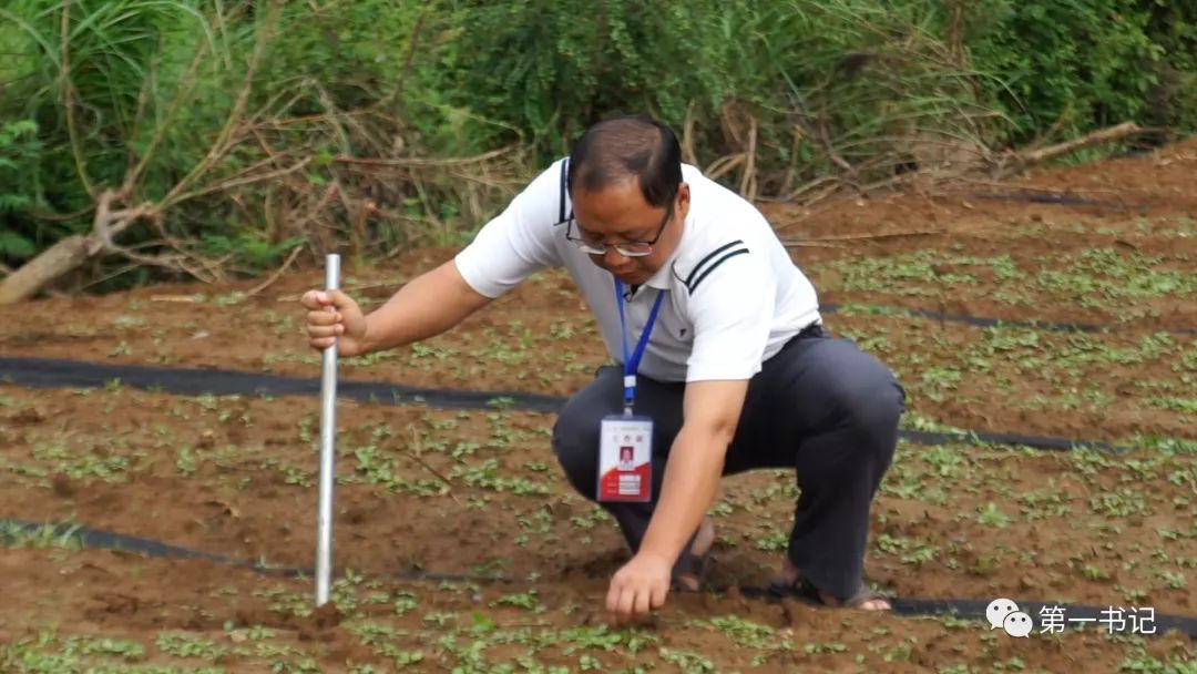 广西致富种植项目_广西种植大户名单_广西全州种植致富