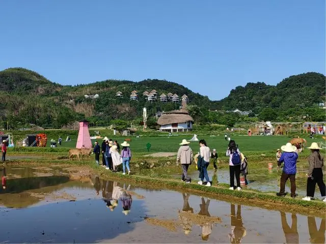 广西全州种植致富_广西山区种植什么致富_广西种植大户名单