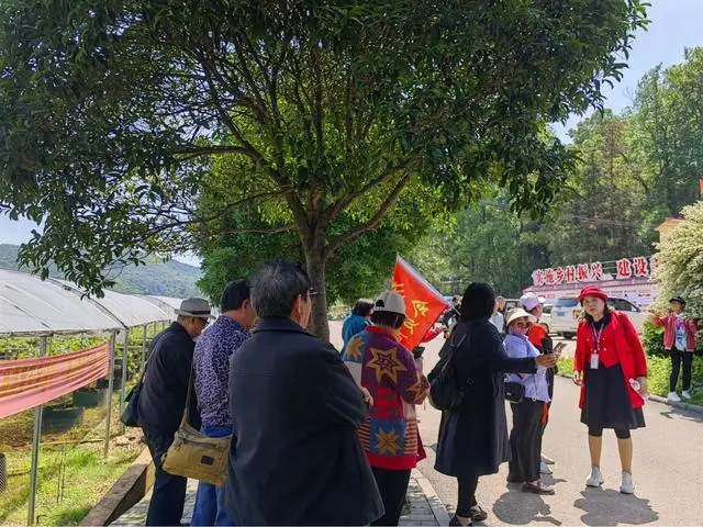 广西种植大户名单_广西山区种植什么致富_广西全州种植致富