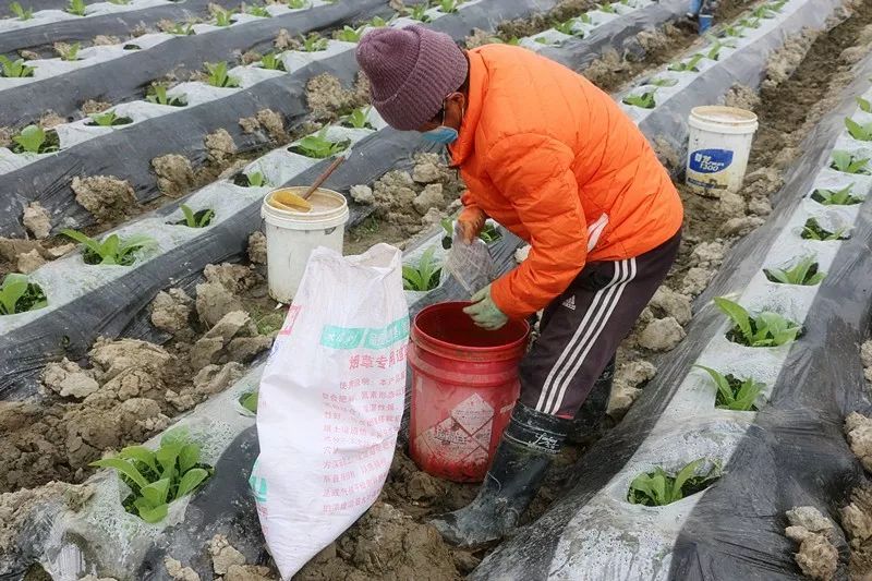 疫情期间养殖户有补贴吗_致富养殖疫情期间有补贴吗_疫情期间养殖致富