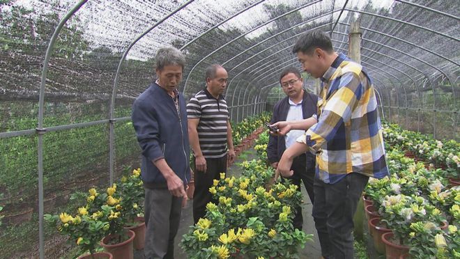 致富经果树种植视频_致富果树_种植致富金果果