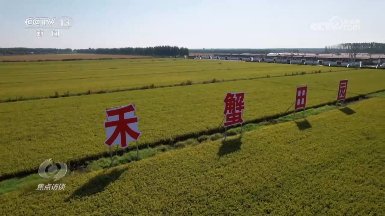 盐碱地种植_盐碱地种庄稼_盐碱地里的致富经