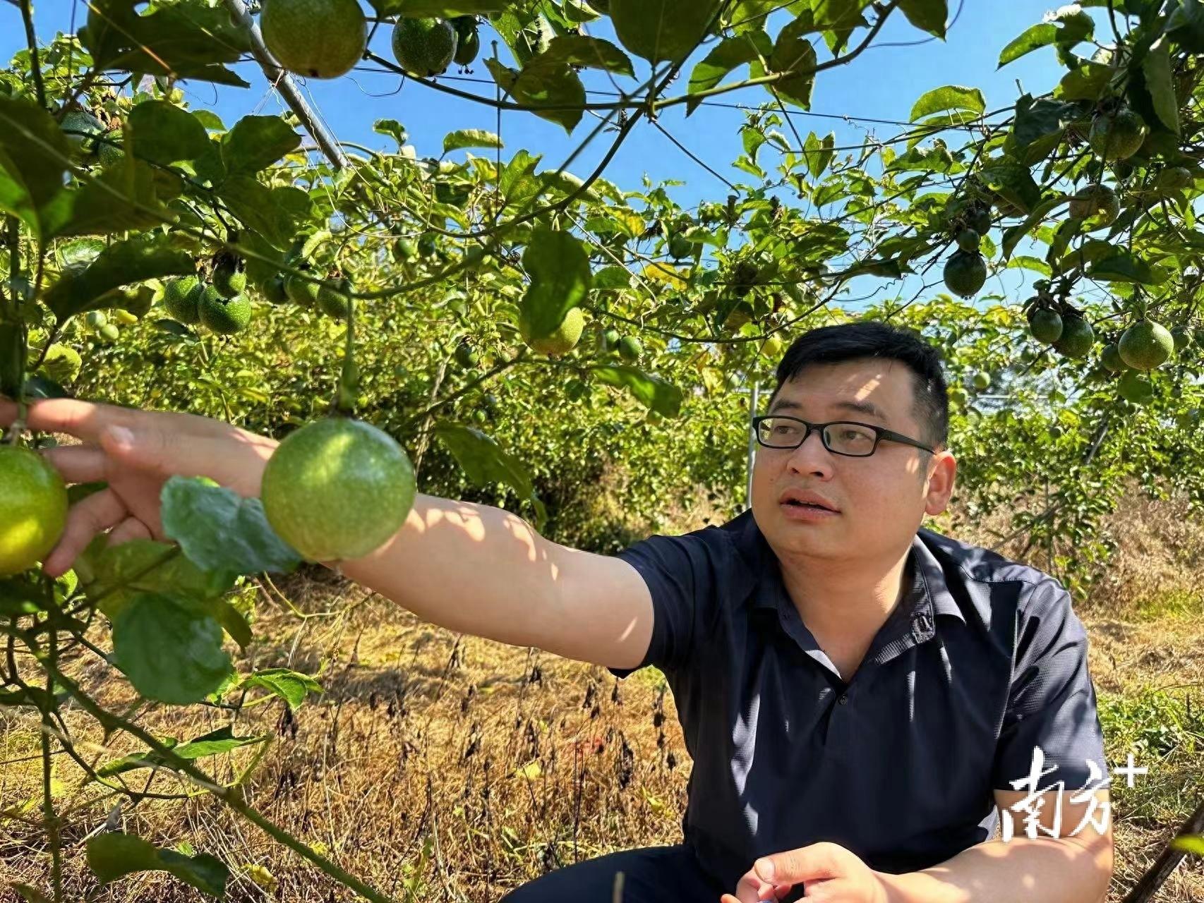 梅县区松口镇横西村党支部书记李建元：“归雁”变“头雁” 蹚出致富路