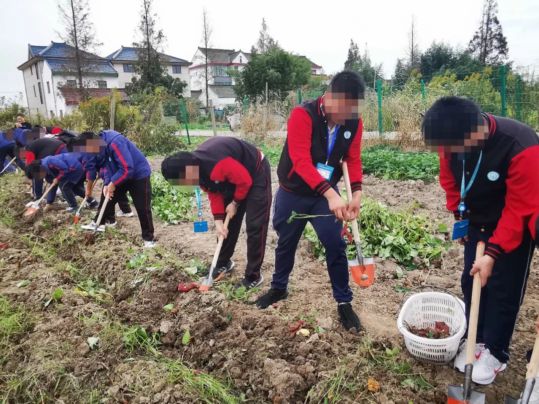 优质服务典型经验材料_典型案例经验材料_优质服务典型经验案例