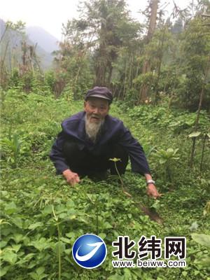 种樱桃能赚多少钱_致富经种樱桃_种植樱桃赚钱吗