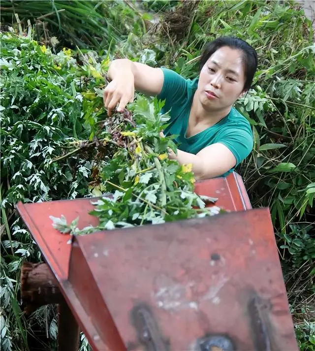 致富经安徽80后女孩陈娇_致富经安徽80后女孩陈娇_致富经安徽80后女孩陈娇