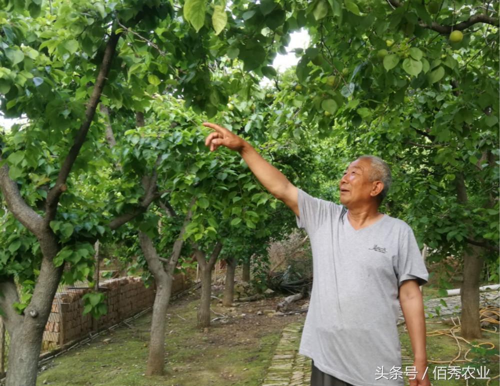 致富农村养殖种植_小庭院养殖致富案例_小院养殖致富项目