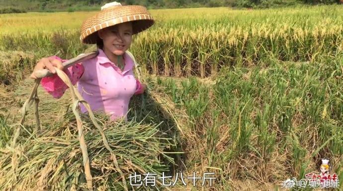 种植皇帝柑致富_种植皇帝柑致富_种植皇帝柑致富