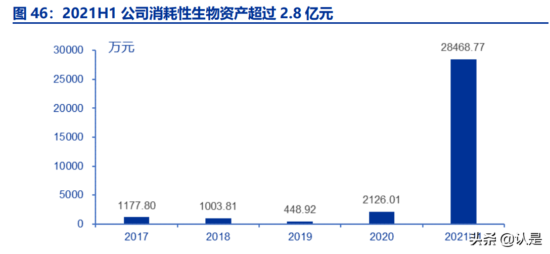 俄罗斯草鱼养殖技术_俄罗斯养殖草鱼技术与管理_俄罗斯养殖草鱼技术怎么样