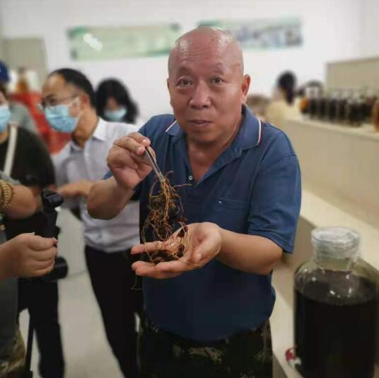 探秘滇西｜“杀人蜂”背后致富路 生物防治带动生态需求