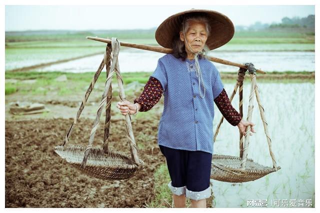 致富农作物_农民种植致富_农业种植致富秘密