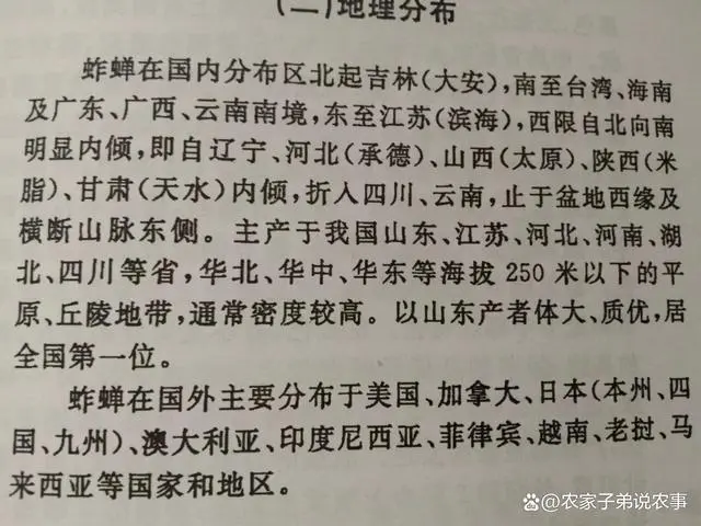 养蚕致富经_养金蚕致富经_养蚕发家致富