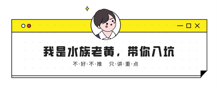 养殖鱼红龙技术视频_红龙鱼的养殖技术_红龙鱼养殖视频教程