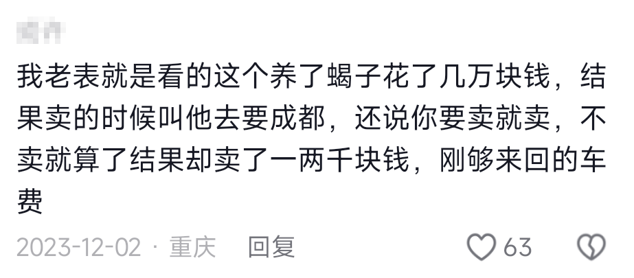 致富经水库养鱼_致富经重庆流水养鱼_致富经流水养鱼视频