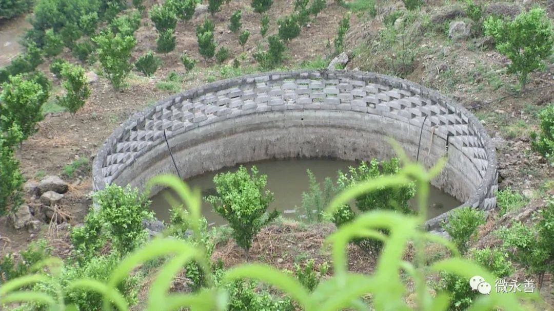 致富种植柑桔图片_种植柑橘赚钱吗_种植柑桔致富