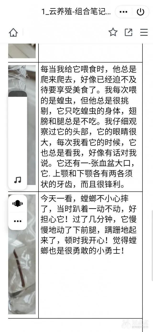 螳螂养殖技术视频很多_养殖螳螂的视频_螳螂的养殖技术视频农广天地