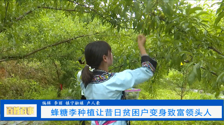 贫困户种植脱贫_贫困户种植致富路_贫困村致富