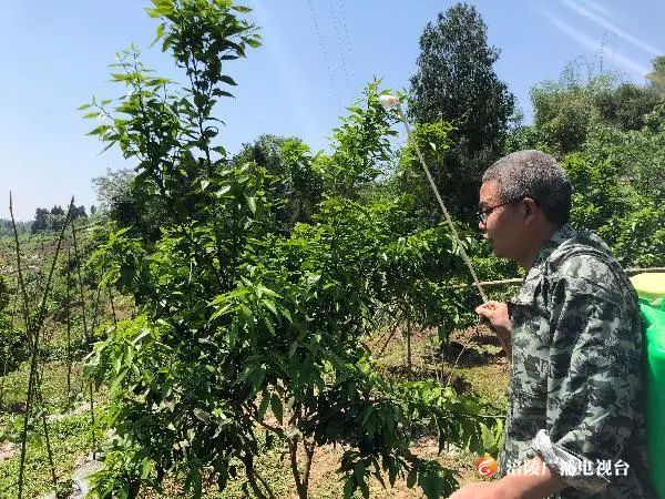 贫困户种植脱贫_贫困户种植致富路_致富贫困户种植路径有哪些