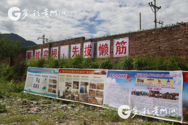 绿壳蛋鸡养殖 致富经_2020年绿壳蛋鸡养殖前景_养殖绿壳蛋鸡前景如何