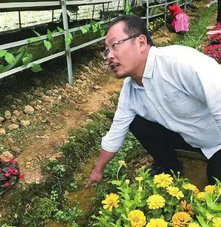 致富虫养殖大豆好吗_致富经养殖大豆虫_大豆虫养殖全过程