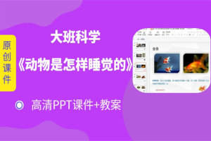 大班科学课件《动物是怎样睡觉的》高清动态PPT+教案下载