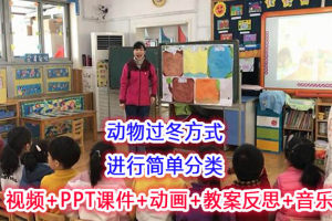 版本2大班科学《冬天里的动物》公开课视频+PPT课件动画教案反思（动物怎样过冬）