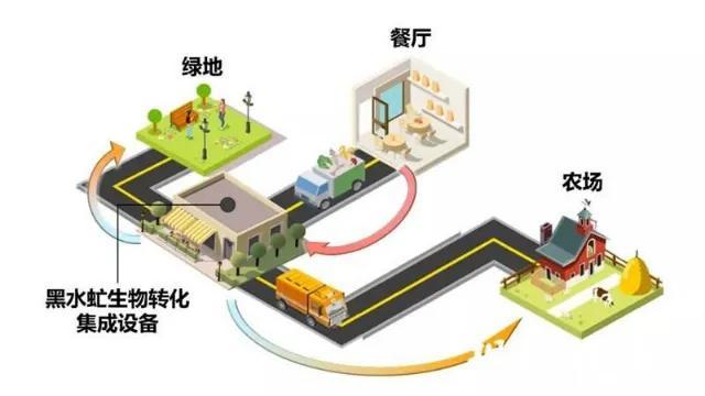 水虻虫养殖技术视频_水虻养殖技术视频_养殖水虻