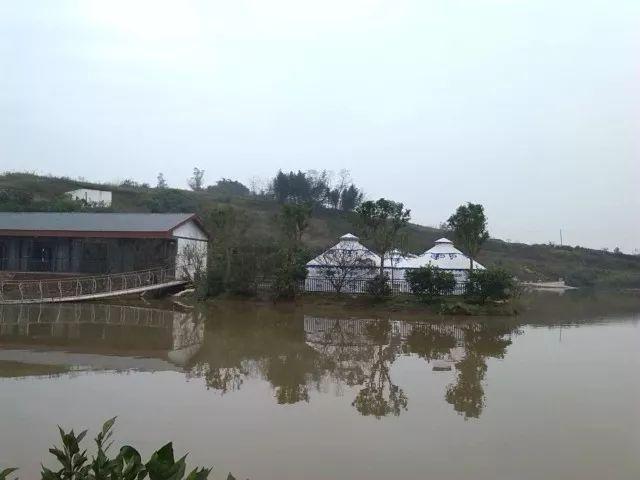 太湖黑猪养殖前景如何_太湖黑猪致富经_太湖黑猪怎么样