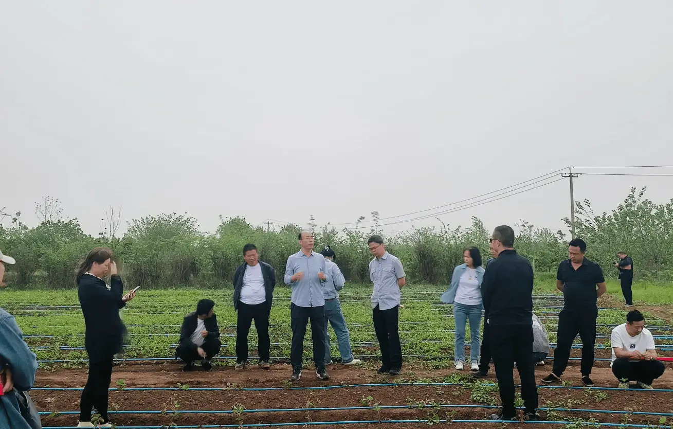 科技服务到地头 铺就农户致富路