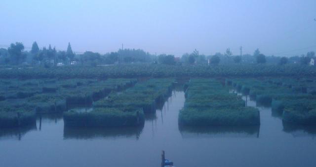 养殖泥鳅黄鳝网箱技术规范_黄鳝泥鳅网箱养殖技术_泥鳅黄鳝养殖视频