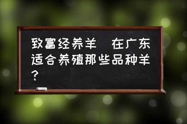 致富经养羊(在广东适合养殖那些品种羊？)