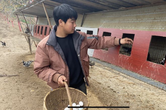 贵妃鸡养殖致富经_致富经贵妃鸡散养视频全集_养贵妃鸡赚钱吗