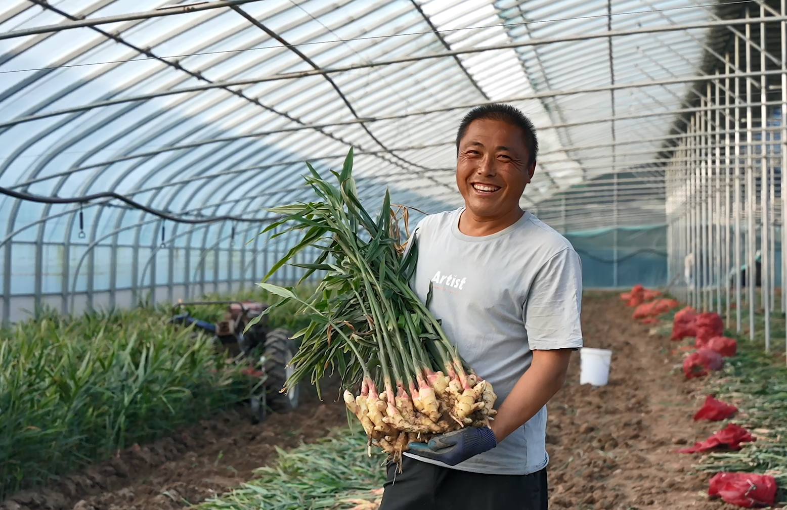 抱团种植致富田_抱团种植致富田_抱团种植致富田
