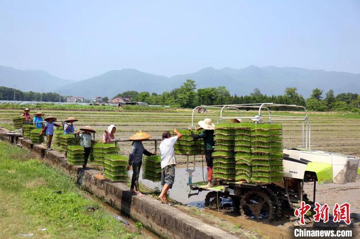 抱团种植致富田_抱团种植致富田_抱团种植致富田