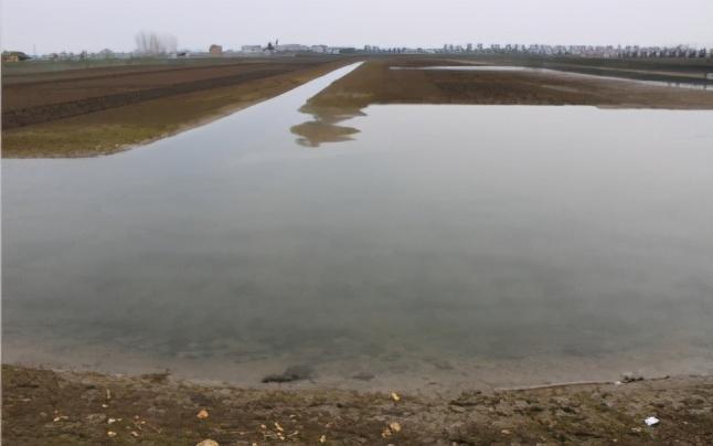 海水小龙虾养殖技术_海水龙虾养殖技术视频_海水养殖龙虾前景怎么样