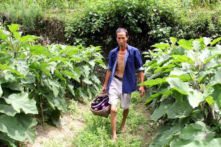 抱团种植致富田_抱团种植致富田_抱团种植致富田