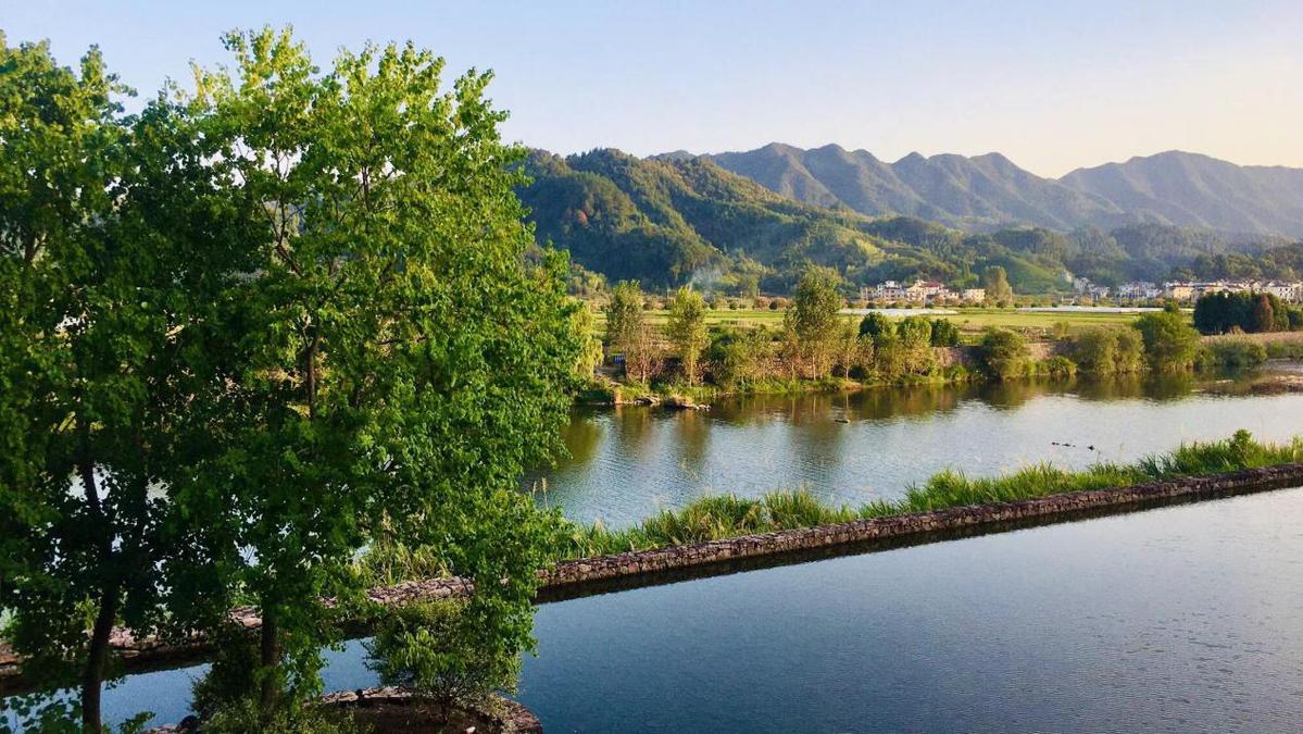 抱团种植致富田_抱团种植致富田_抱团种植致富田