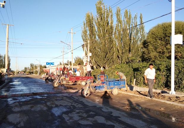 工作队美化村级道路两旁绿化带 帮助贫困户脱贫致富