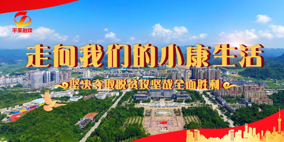 【走向我们的小康生活】平果：红心蜜柚成熟上市