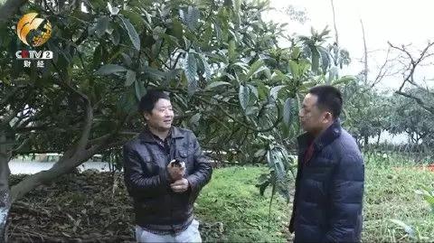 湖北《致富经》_湖北90后养殖豪猪致富_湖北致富项目