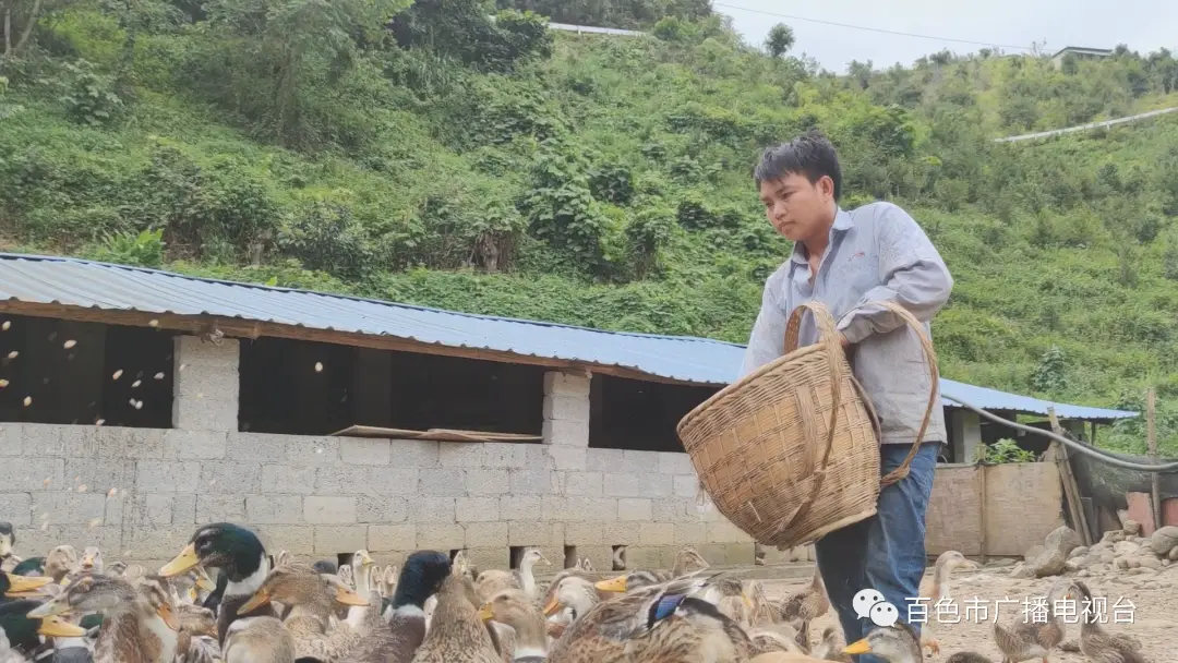 订单种植致富_种植致富经_致富致富