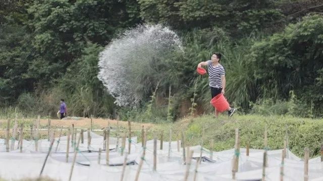 致富经淡水澳洲龙虾视频_澳洲淡水龙虾赚钱吗_澳洲淡水龙虾致富经