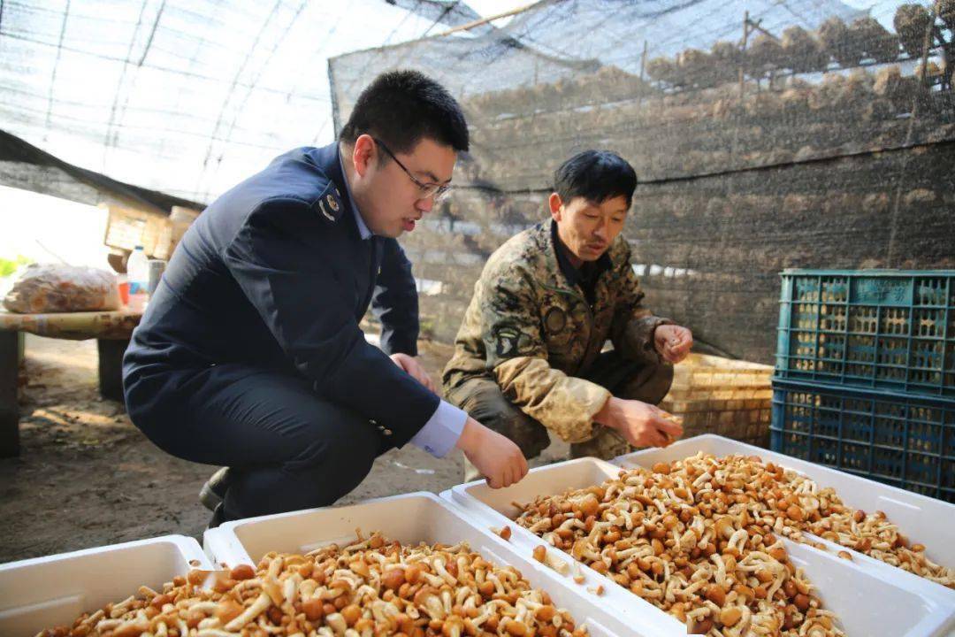 地摊养殖致富项目_致富养殖地摊项目有哪些_本地养殖致富