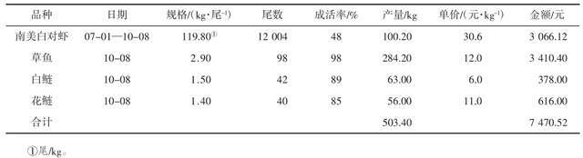 养殖小于对虾技术怎么办_小于对虾养殖技术_小于谈养对虾