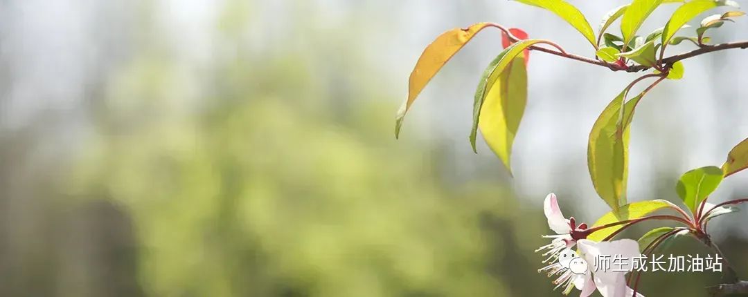 引进优质民办学校的反思与建议_引进民办学校的好处_引进民办优质学校经验材料