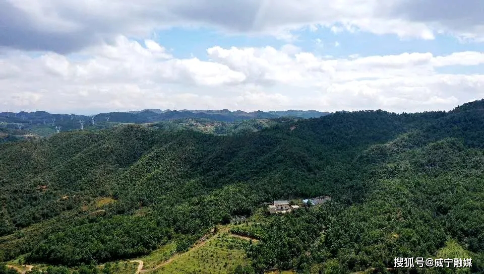 威宁发展林下经济，让“荒山秃岭”变“绿色银行”