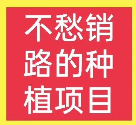 哪些种植项目不愁销路？这些常见项目值得考虑，请收藏