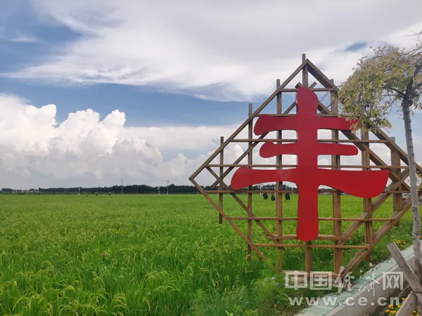 种植 脱贫致富_种植脱贫致富的故事_脱贫种植项目