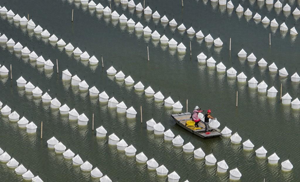 济宁养殖水蛭技术培训学校_济宁养殖水蛭技术招聘_济宁水蛭养殖技术