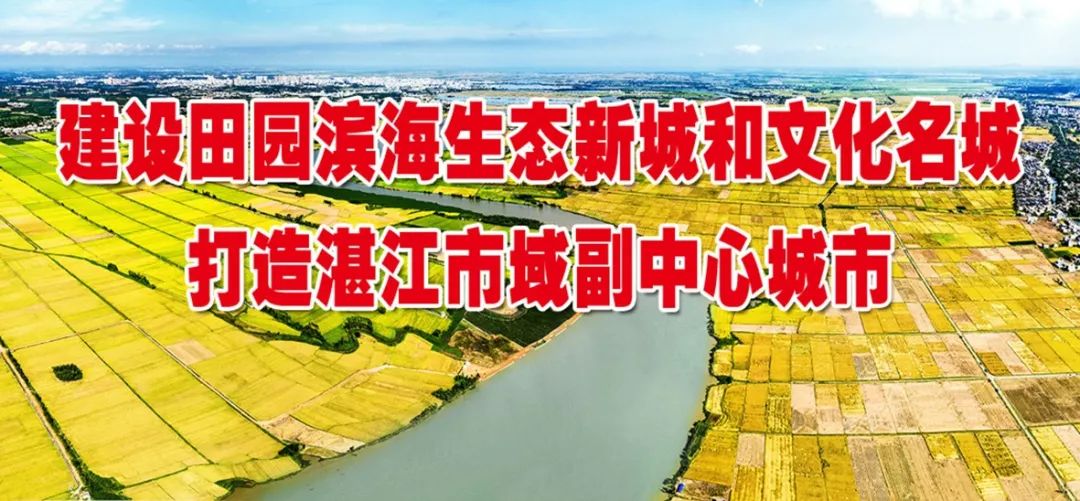 致富经养土猪视频播放_致富经养土猪视频_致富经养猪视频播放